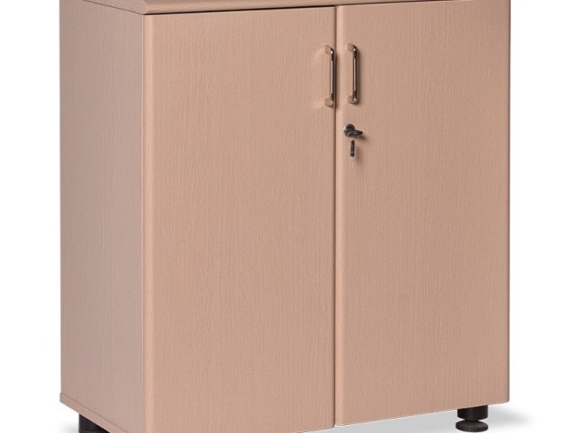 Tủ tài liệu thấp NT880DN